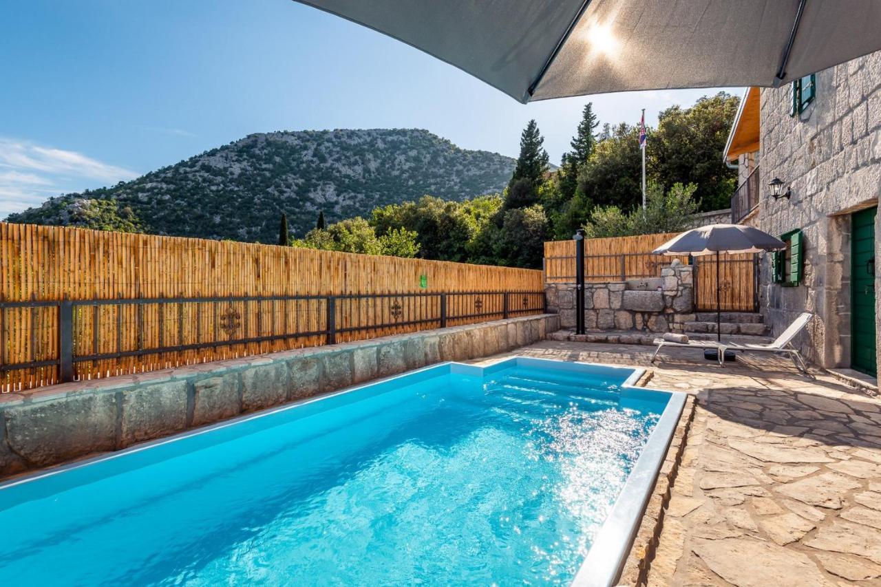 Villa Lazini Dvori Stasevica Екстериор снимка