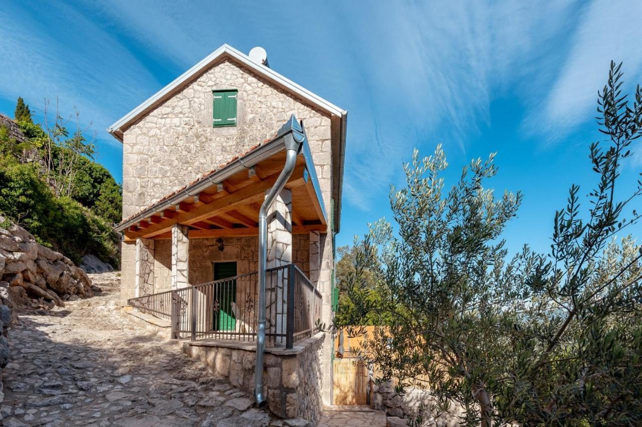 Villa Lazini Dvori Stasevica Екстериор снимка