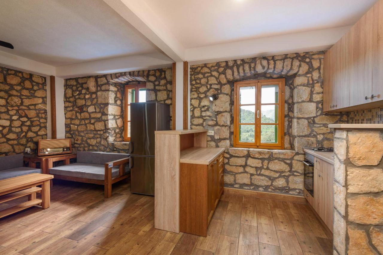Villa Lazini Dvori Stasevica Екстериор снимка